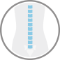 Spine Icon